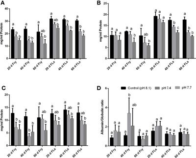 Ocean Acidification Impact on Haematological and Serum Biochemical Parameters in Lates calcarifer